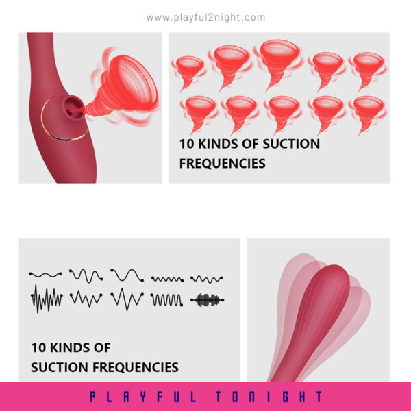 Dina Sucking Clit Massager G Spot Vibrator - Image 5