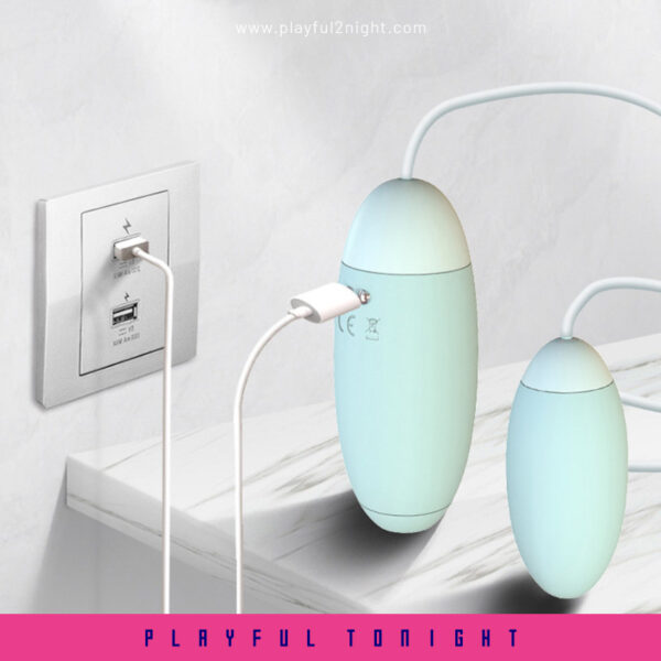 Miss VV Clitoral And Egg Massager - Image 5
