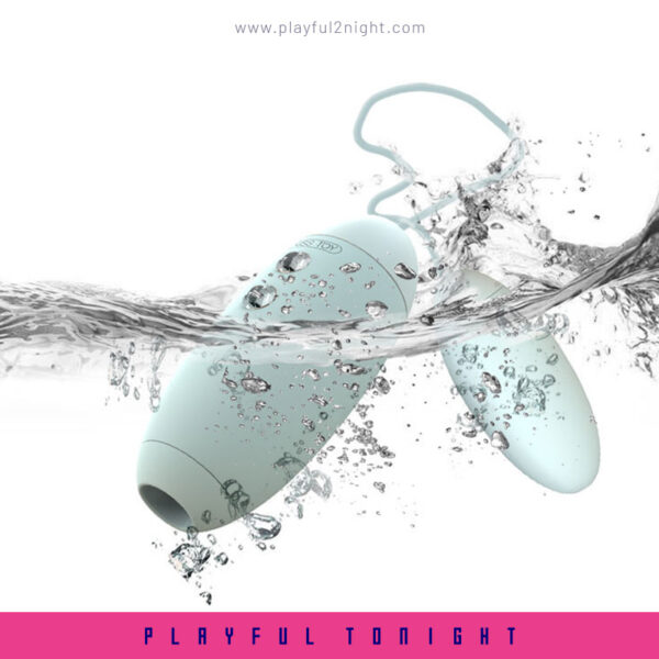 Miss VV Clitoral And Egg Massager - Image 3