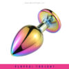 Rainbow Stainless Steel Butt Plug Set - Image 3