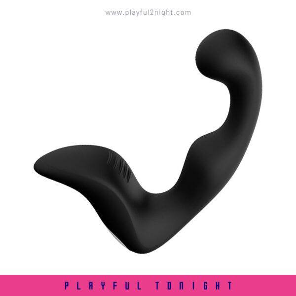 Man Prostate Vibrating Massager-Landy - Image 2