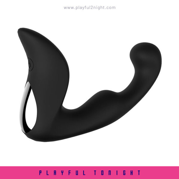 Man Prostate Vibrating Massager-Landy - Image 4