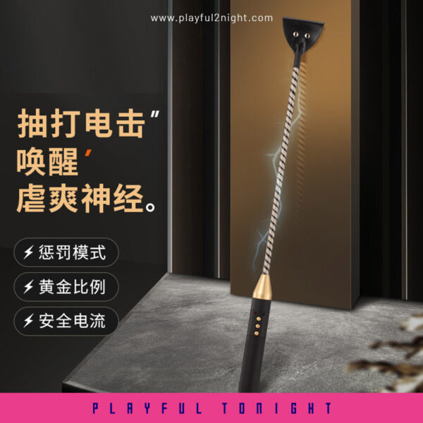 Healthy Lifestyle Passionate Electric Whip - Image 7
