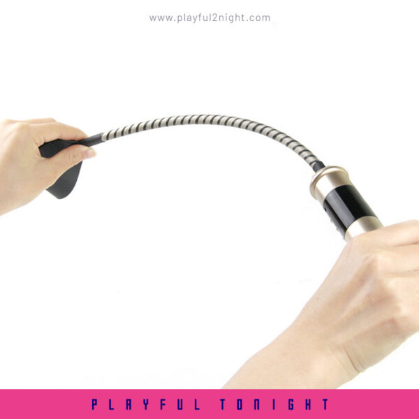 Healthy Lifestyle Passionate Electric Whip - Image 3