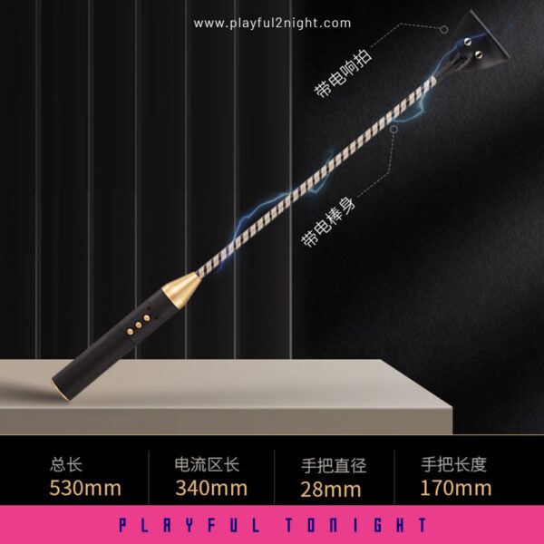 Healthy Lifestyle Passionate Electric Whip - Image 6