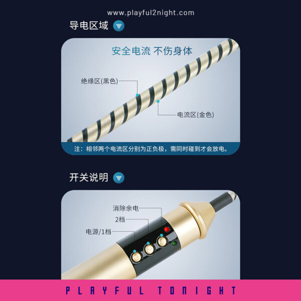 Healthy Lifestyle Passionate Electric Whip - Image 5