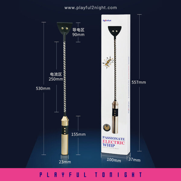 Healthy Lifestyle Passionate Electric Whip - Image 2