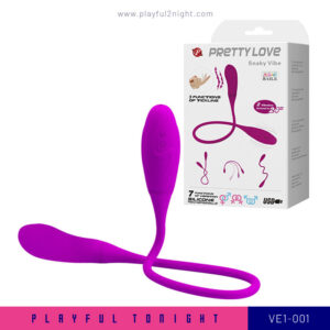 Playful2night_VE1-001