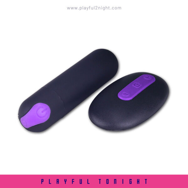 Lovetoy IJOY Rechargeable Remote Control Vibrating Panties - Image 2