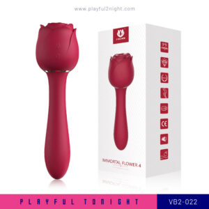 Playful2night_VB2-022_01
