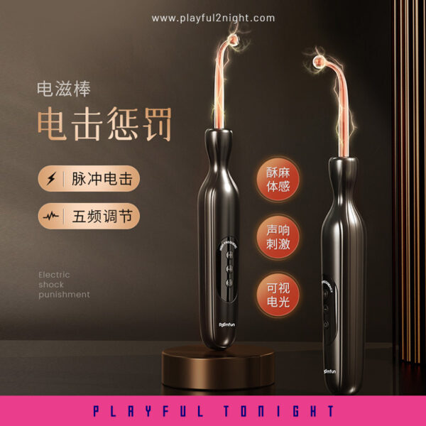 Roomfun®BDSM Punishment And Threat Electric Prod Buzzing Arc Light - Image 2