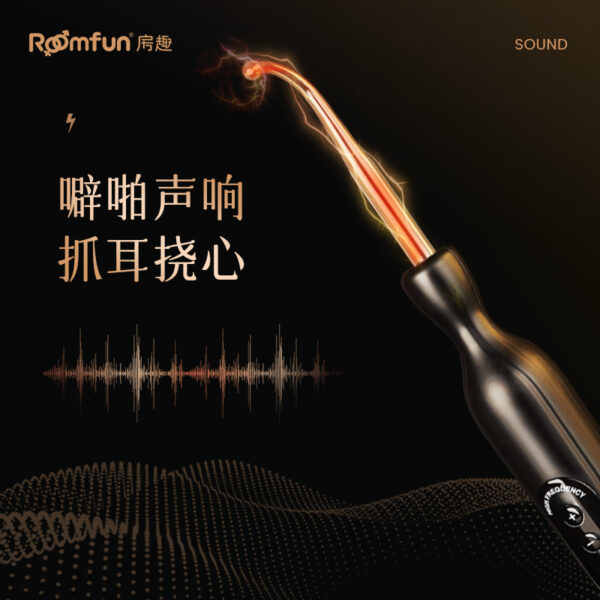 Roomfun®BDSM Punishment And Threat Electric Prod Buzzing Arc Light - Image 8