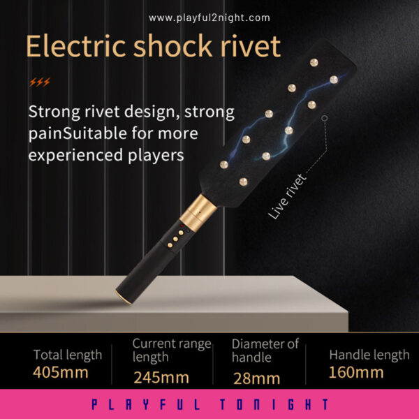 Roomfun Electric Paddle Electroplay - Image 2