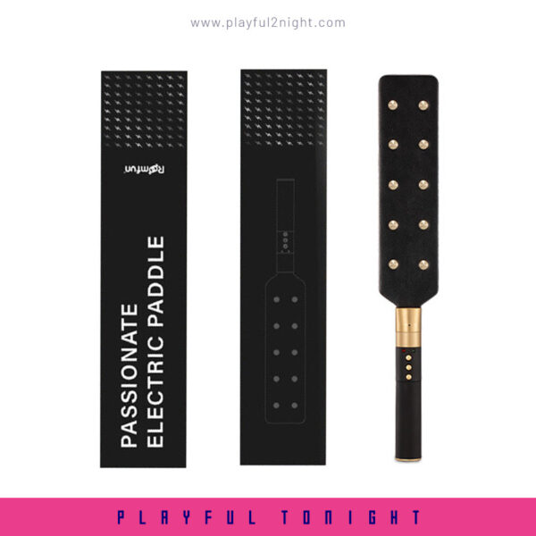 Roomfun Electric Paddle Electroplay - Image 5