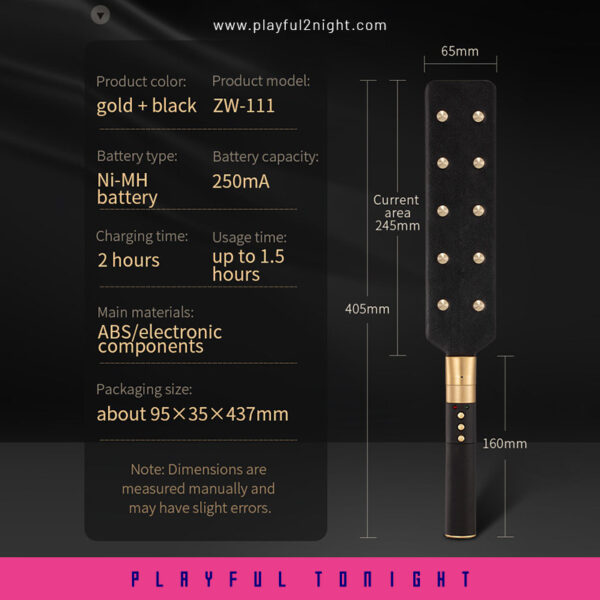Roomfun Electric Paddle Electroplay - Image 7