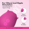 Blush - The Original Blush Rose - Velvet - Image 4